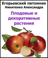 Егорьевский питомник2.jpg Егорьевский питомник2.jpg